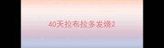 40天拉布拉多发烧