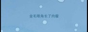 金毛眼角长了肉瘤