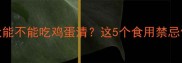 边境牧羊犬能不能吃鸡蛋清这5个食用禁忌你要知道