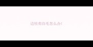 边牧有白毛怎么办