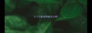 三个月泰迪狗粮怎么喂
