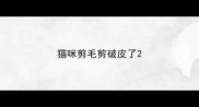 猫咪剪毛剪破皮了