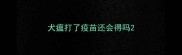 犬瘟打了疫苗还会得吗