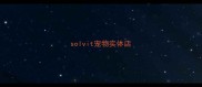 solvit宠物实体店