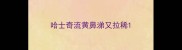 哈士奇流黄鼻涕又拉稀