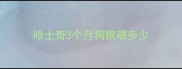 哈士奇3个月狗粮喂多少