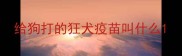 给狗打的狂犬疫苗叫什么