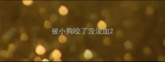 被小狗咬了没流血