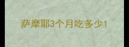 萨摩耶3个月吃多少