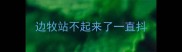 边牧站不起来了一直抖