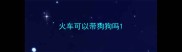 火车可以带狗狗吗