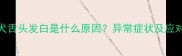 2个月幼犬舌头发白是什么原因异常症状及应对措施全