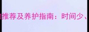 适合上班族的10种宠物推荐及养护指南时间少空间小也能轻松养好