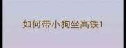 如何带小狗坐高铁