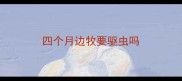 四个月边牧要驱虫吗