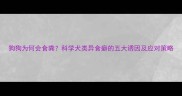 狗狗为何会食粪科学犬类异食癖的五大诱因及应对策略