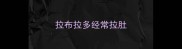 拉布拉多经常拉肚