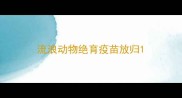 流浪动物绝育疫苗放归