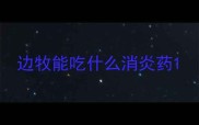 边牧能吃什么消炎药