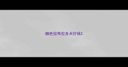 咖色拉布拉多犬价钱