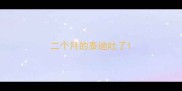 二个月的泰迪吐了