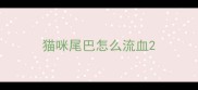 猫咪尾巴怎么流血