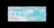 一岁泰迪一次吃多少