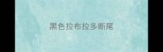 黑色拉布拉多断尾