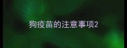 狗疫苗的注意事项