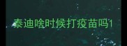 泰迪啥时候打疫苗吗
