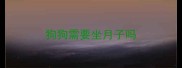 狗狗需要坐月子吗