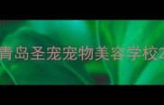 青岛圣宠宠物美容学校