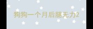 狗狗一个月后腿无力