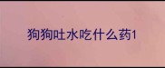 狗狗吐水吃什么药