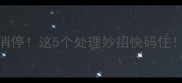 哈士奇洗澡后吐了2天不消停这5个处理妙招快码住宠物健康哈士奇护理