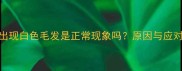 金毛犬出现白色毛发是正常现象吗原因与应对措施全