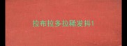 拉布拉多拉稀发抖