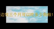 边牧三个月可以吃多少狗粮