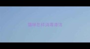 猫咪怎样消毒清洁