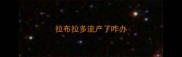 拉布拉多流产了咋办