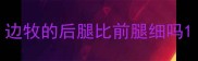 边牧的后腿比前腿细吗