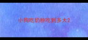 小狗吃奶粉吃到多大