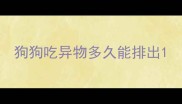 狗狗吃异物多久能排出