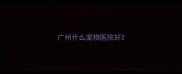 广州什么宠物医院好