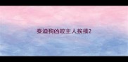 泰迪狗凶咬主人挨揍