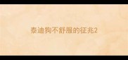 泰迪狗不舒服的征兆