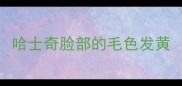 哈士奇脸部的毛色发黄