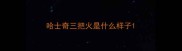 哈士奇三把火是什么样子