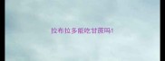 拉布拉多能吃甘蔗吗