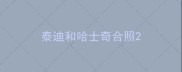 泰迪和哈士奇合照